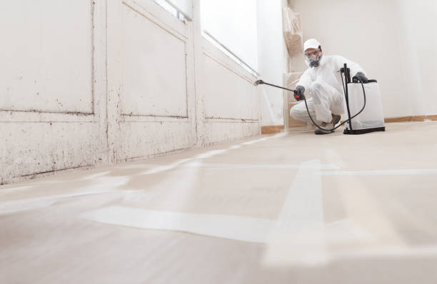 24/7 Emergency Mold Inspection experts in Caledonia, MI
