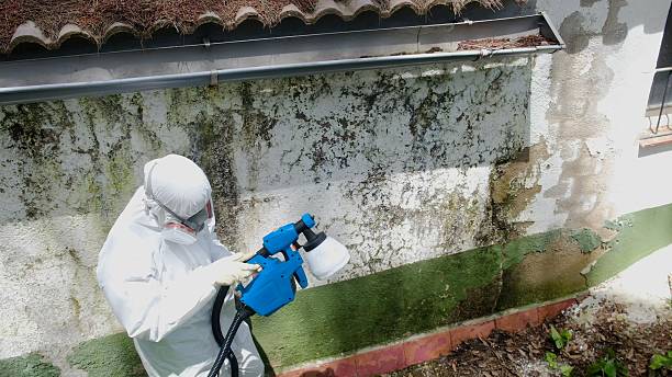 Trusted Mold Testing service in Caledonia, MI - Cheap Mold Removal